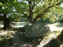 Preetz-Burtewitz Steingrab 3