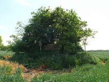 Zierzow Steingrab
