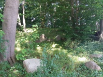 Hügelgräber Bülower Busch