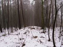 Hügelgräber Bredenfelde