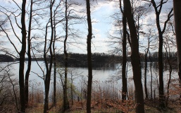 Kastorfer See Burgwall III
