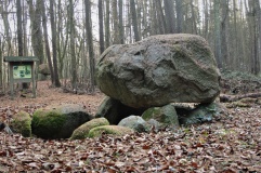 Forst Cammin Dolmen (1) - PID:299818