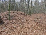 Hügelgrab Serrahn - PID:291819