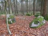 Hallalit - PID:288635