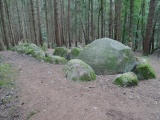 Everstorfer Forst Sued (4)