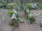 Everstorfer Forst Sued (4)