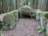 Everstorfer Forst Sued (4)