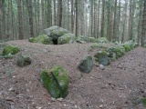 Everstorfer Forst Sued (4)