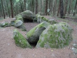 Everstorfer Forst Sued (4)