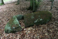 Feldberg Monolith IV