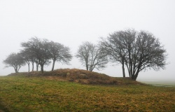 Starrvitz Steingrab
