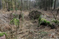 Hagen-Tribberatz Steingrab 3