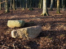 Schwarbe Steingrab 1