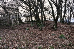 Wreechen Steingrab