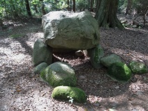 Forst Cammin Dolmen (1)