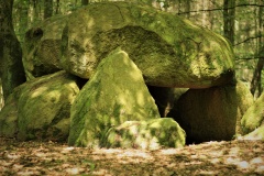 Forst Cammin Dolmen (2) - PID:273645