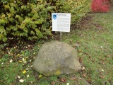 Schälchenstein Ankershagen - PID:205689