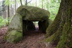 Forst Cammin Dolmen (2)