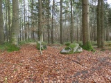 Hallalit - PID:288636