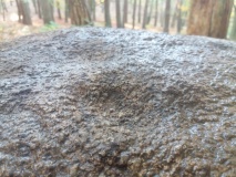 Schälchenstein Klein Luckow 14