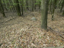 Großsteingrab Goldenbaum