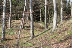 Kastorfer See Burgwall I