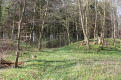 Kastorfer See Burgwall I