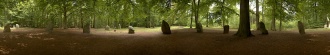 Click for full size image of Großer Boitiner Steintanz (PID:231987) Großer Boitiner Steintanz
