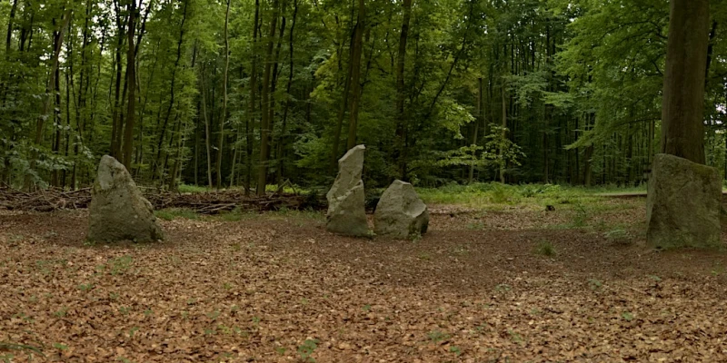 Großer Boitiner Steintanz