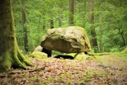 Forst Cammin Dolmen (1) - PID:273642