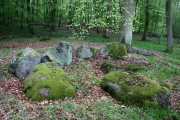 Forst Tarnow Steingrab 2 - PID:63821