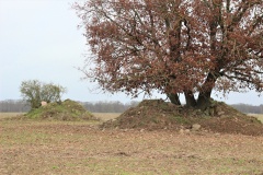 Hügelgräberfeld Ramelow