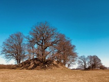 Hügelgräber Mollenstorf