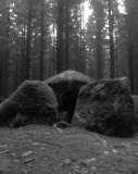 Forst Sandkrug Steingrab 1 - PID:129348