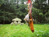 Everstorfer Forst Teufelsbackofen