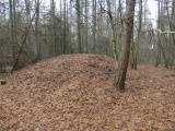 Hügelgrab Serrahn - PID:291816