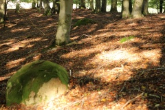 Gnewitz Stone Circle