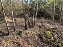 Roggenhagen (1)