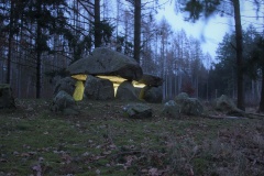 Everstorfer Forst Teufelsbackofen - PID:299701