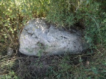 Dargun Steingrab
