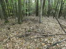 Großsteingrab Goldenbaum