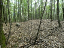 Großsteingrab Goldenbaum