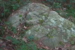 Schalenstein Loecknitz