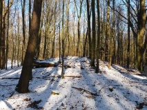 Gräberfeld Feldberger Hütte