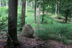 Monolith I Feldberg