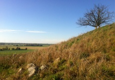 Grünzer Berge