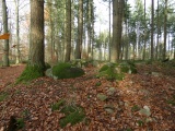 Hallalit - PID:288638