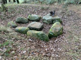 Huetter Wohld (Bollbruecke) Steingrab - PID:283300