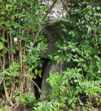 Plaaz Dolmen
