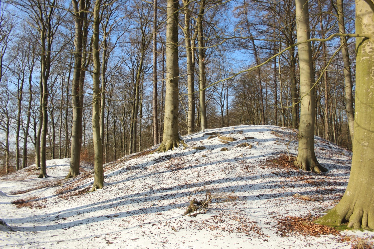 Grabhügelgruppe Hohenfelde (PID:285888) Grabhügelgruppe Hohenfelde